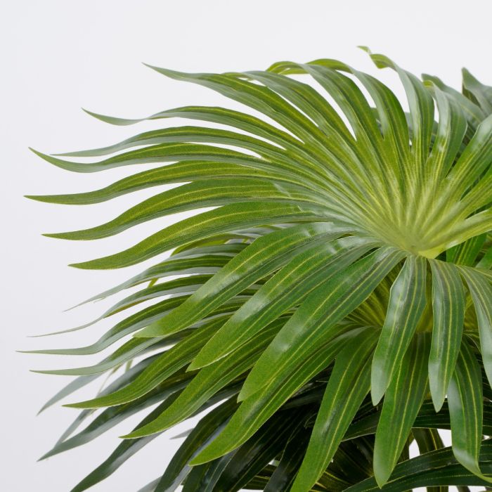 Palme 40 cm høj