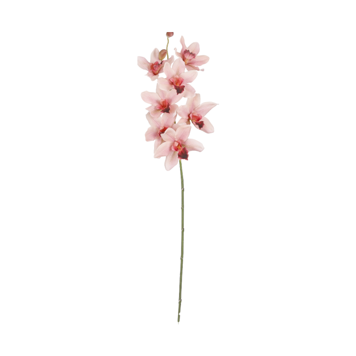 Vanda orkidéstilk fra Mica Decorations