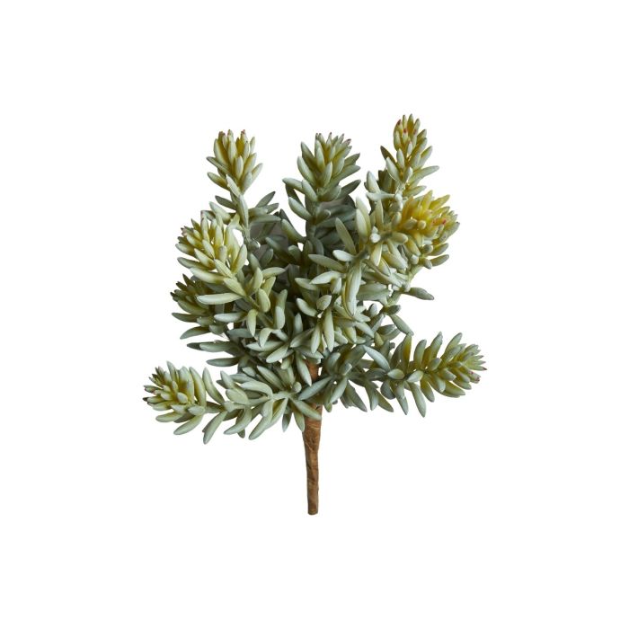 Sukkulent stilk 20 cm