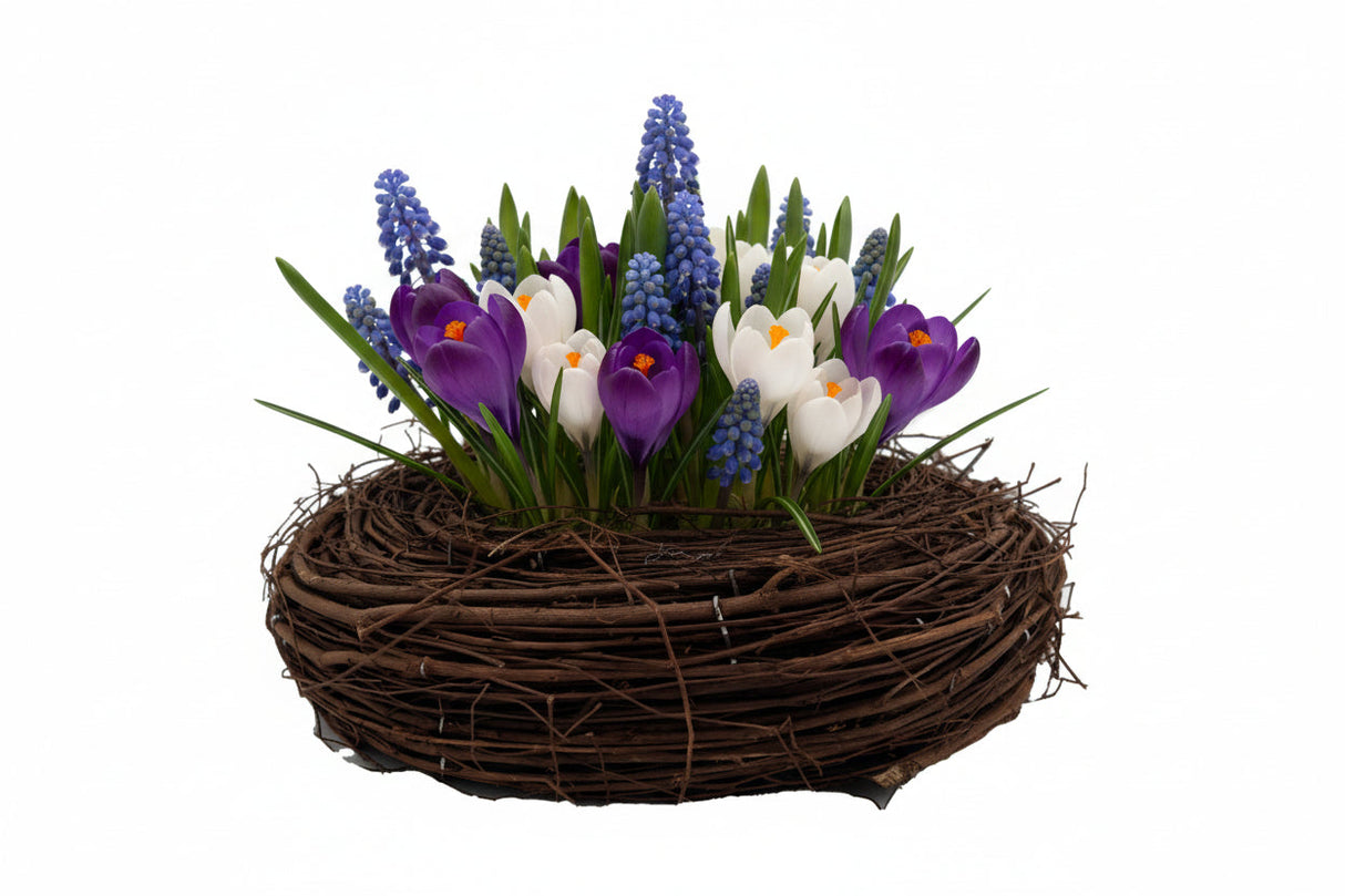 Planteskål rede med perlehyacinter og krokus