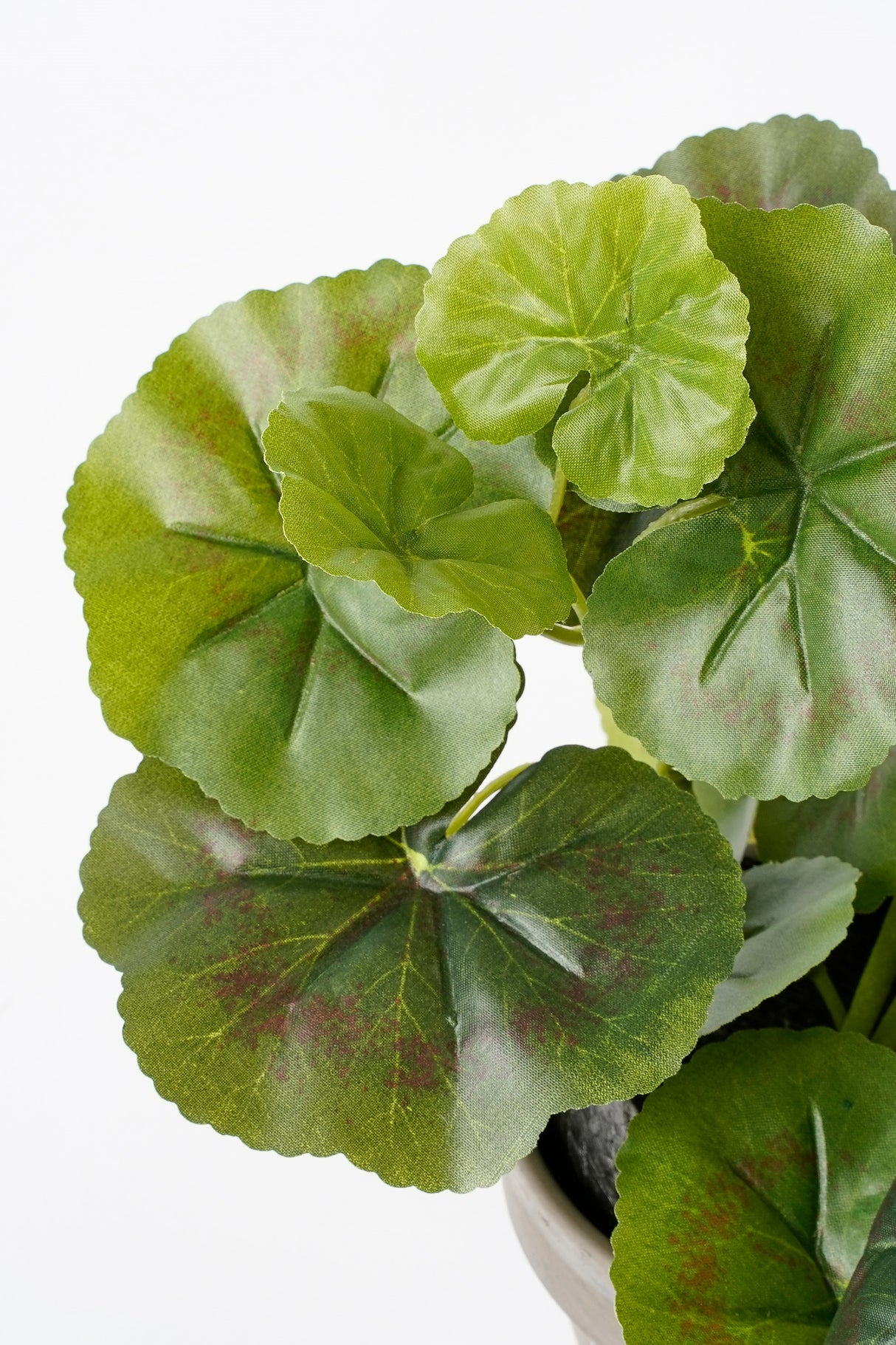 Grønne kunstige blade på en pelargonie fra Mica