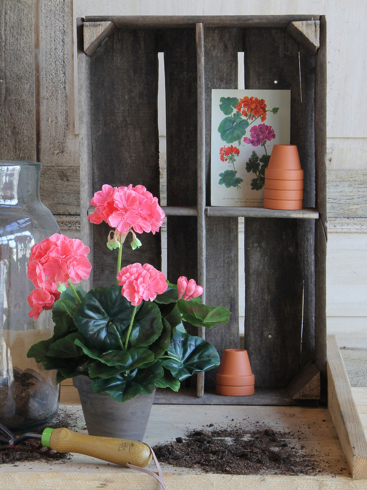 Kunstig pelargonie med laksefarvede blomster på bord med jord