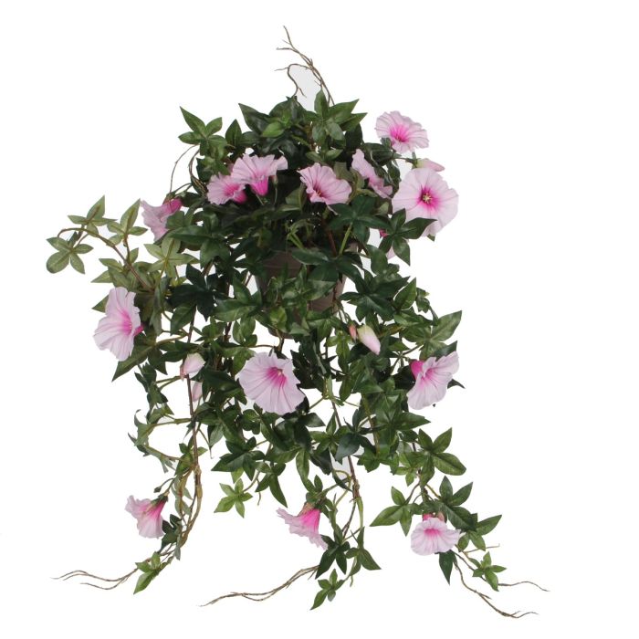 Hængepetunia lyserød