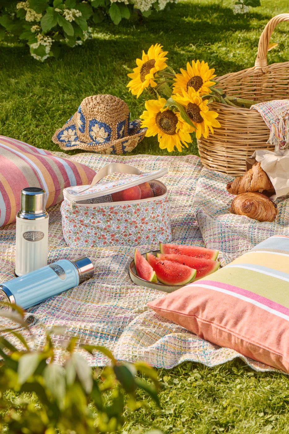 Picnic på græsset