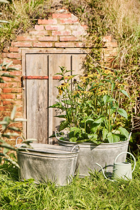 Zinkbaljer fra Ib Laursens Urban Garden-serie stående i hagen med stauder i