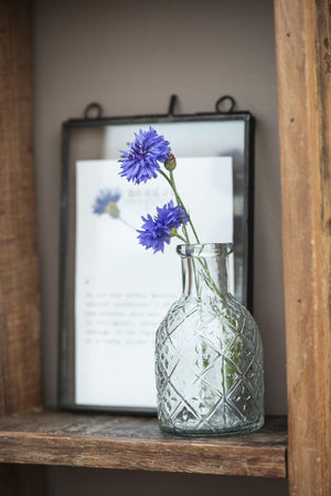 Apotekglass med harlekinmønster og blå markblomster som dekorasjon på en trehylle