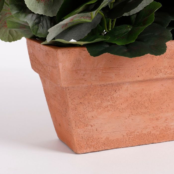 Pelargonie i altankasse pink