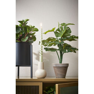 Monstera palme 48 cm høj