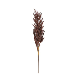 Pampasgræs brun 88 cm lang