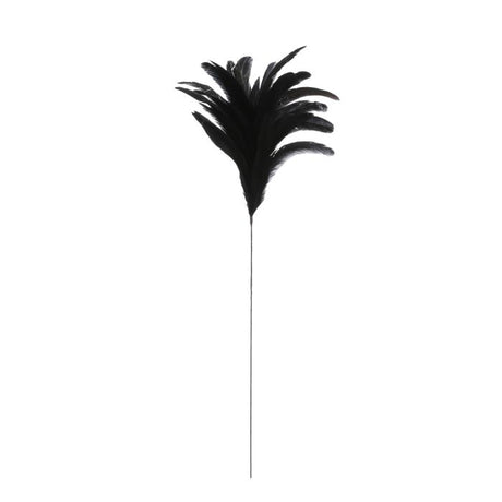 Fjer sort 80 cm lang