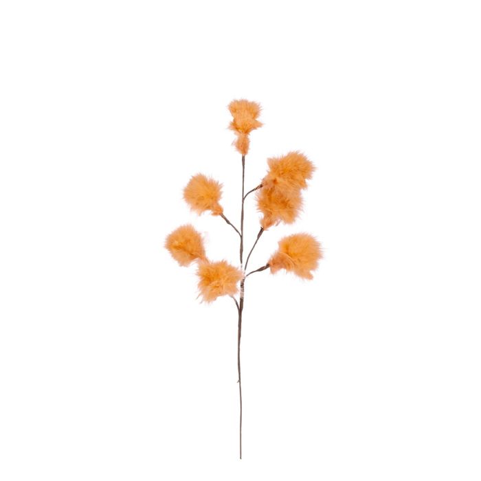 Gren med fjerduske orange