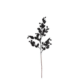 Monye plant gren sort