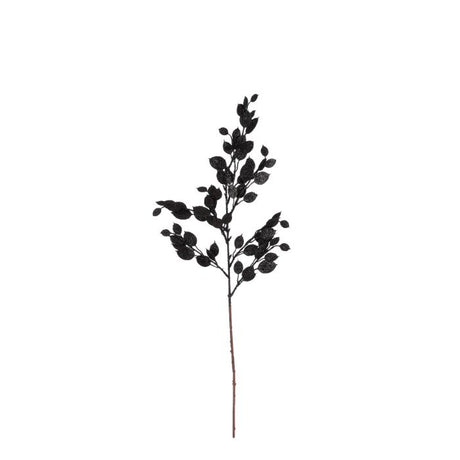 Monye plant gren sort