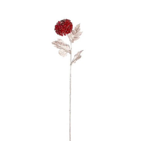 Krysantemum bordeaux