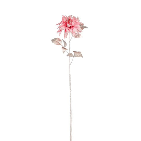 Krysantemum lyserød med glimmer