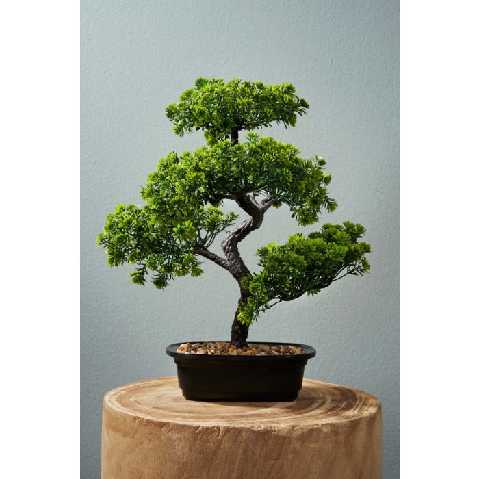 Bonsai træ 38 cm højt
