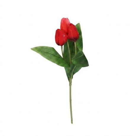 Tulipanstengel med 3 blomster