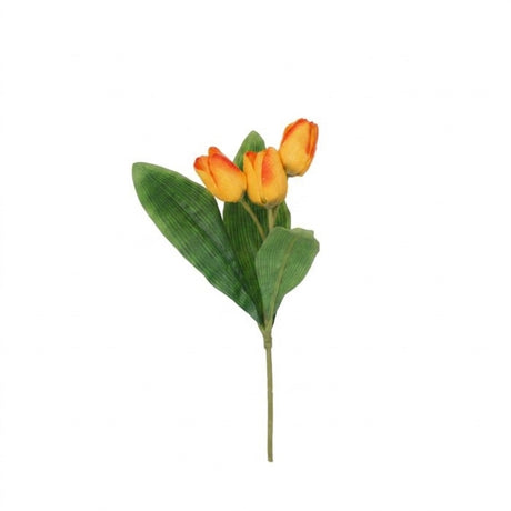 Tulipanstengel med 3 blomster