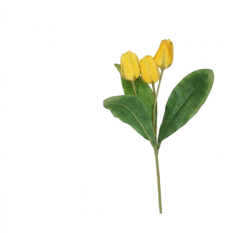 Tulipanstengel med 3 blomster