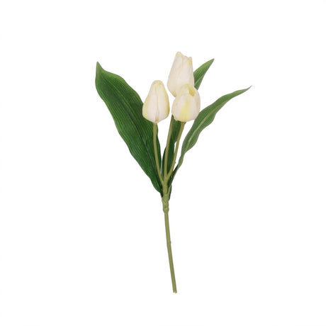 Tulipanstengel med 3 blomster