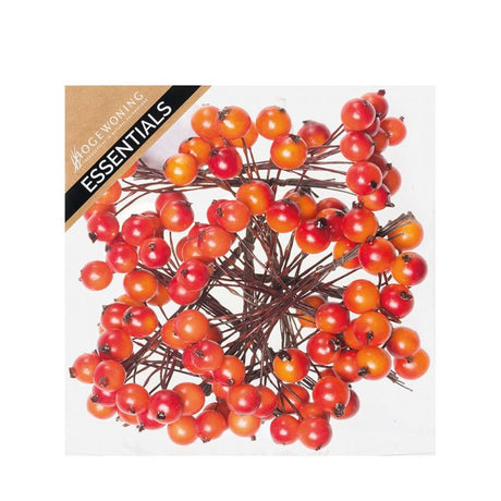 Små bær på wire orange