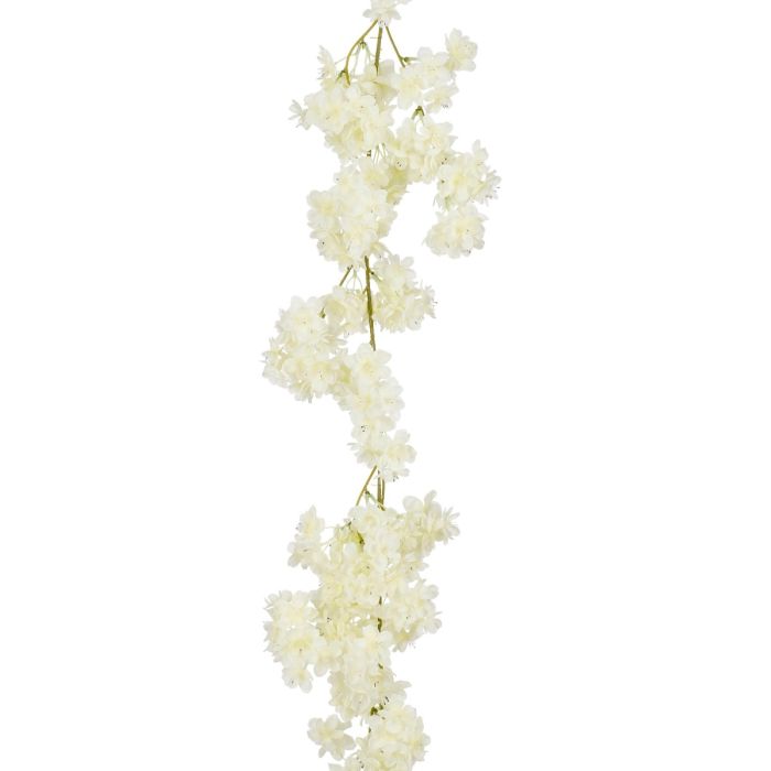 Blomsterranke med hvide blomster</td></tr><tr><td> Normal pris