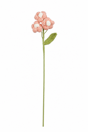 Lyserosa heklet blomst med små runde kronblader og gul midte til sommerbuketter