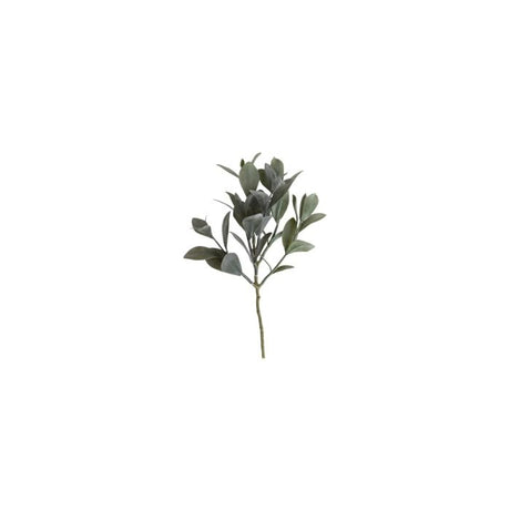 Naturtro eukalyptusstilk med elegante støvgrønne blade