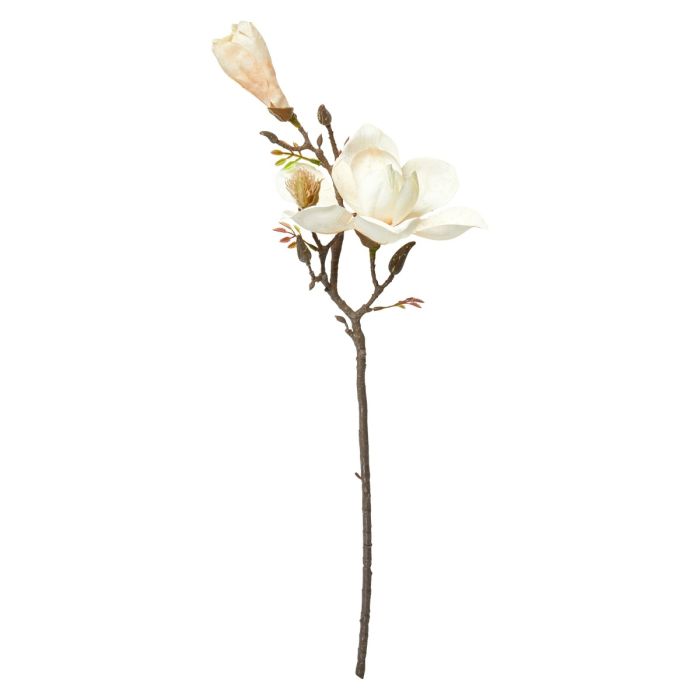 Kunstig cremehvid magnoliastilk med blomster og knopper