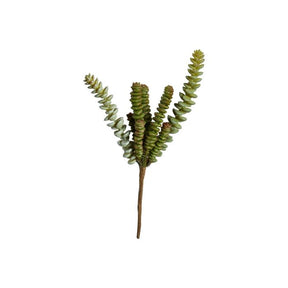 Sukkulent 8 stilke 27 cm