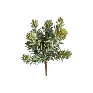 Sukkulent stilk 20 cm