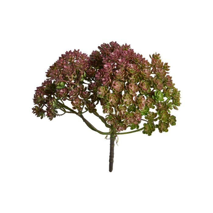 Sukkulent buket 32 cm