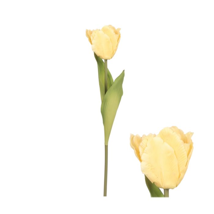 Tulipanstilk lysegul 65 cm høj