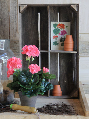 Kunstig pelargonie med laksefarvede blomster på bord med jord