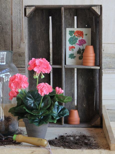 Kunstig pelargonie med laksefarvede blomster på bord med jord