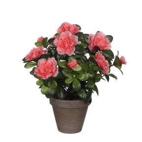 Azalea i ferskenfarvet 27 cm høj og fra Mica Decorations