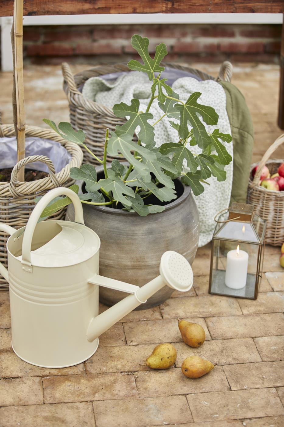 Norr lanterne med levende lys på terrassen sammen med grønne planter, vannkanne og hagepynt
