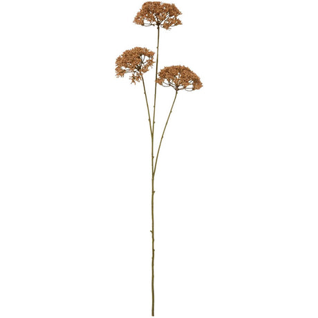 Kunstig blomsterstilk fra Ib Laursen med tre nøttebrune skjermblomster på lange, bladløse stilker.
