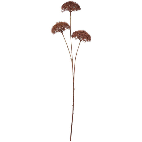 Kunstig blomsterstilk fra Ib Laursen med tre mørkebrune skjermblomster på lange, bladløse stilker.