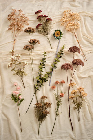 Kunstige blomsterstilker fra Ib Laursens høstkolleksjon i forskjellige naturfarger arrangert på lyst stoff.