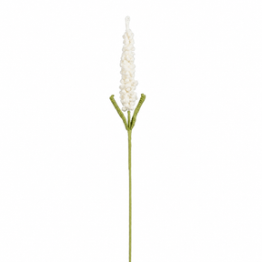 Heklet hvit lavendelblomst med to grønne blader og lang stilk, 48 cm