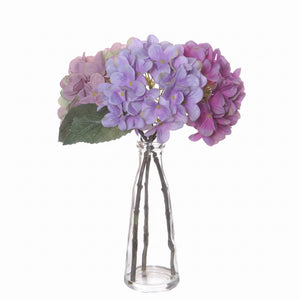 Hortensiablomster i glassvase